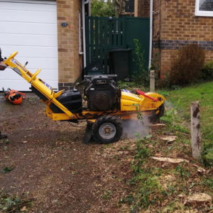 Stump grinding service now available from DPA Contractors